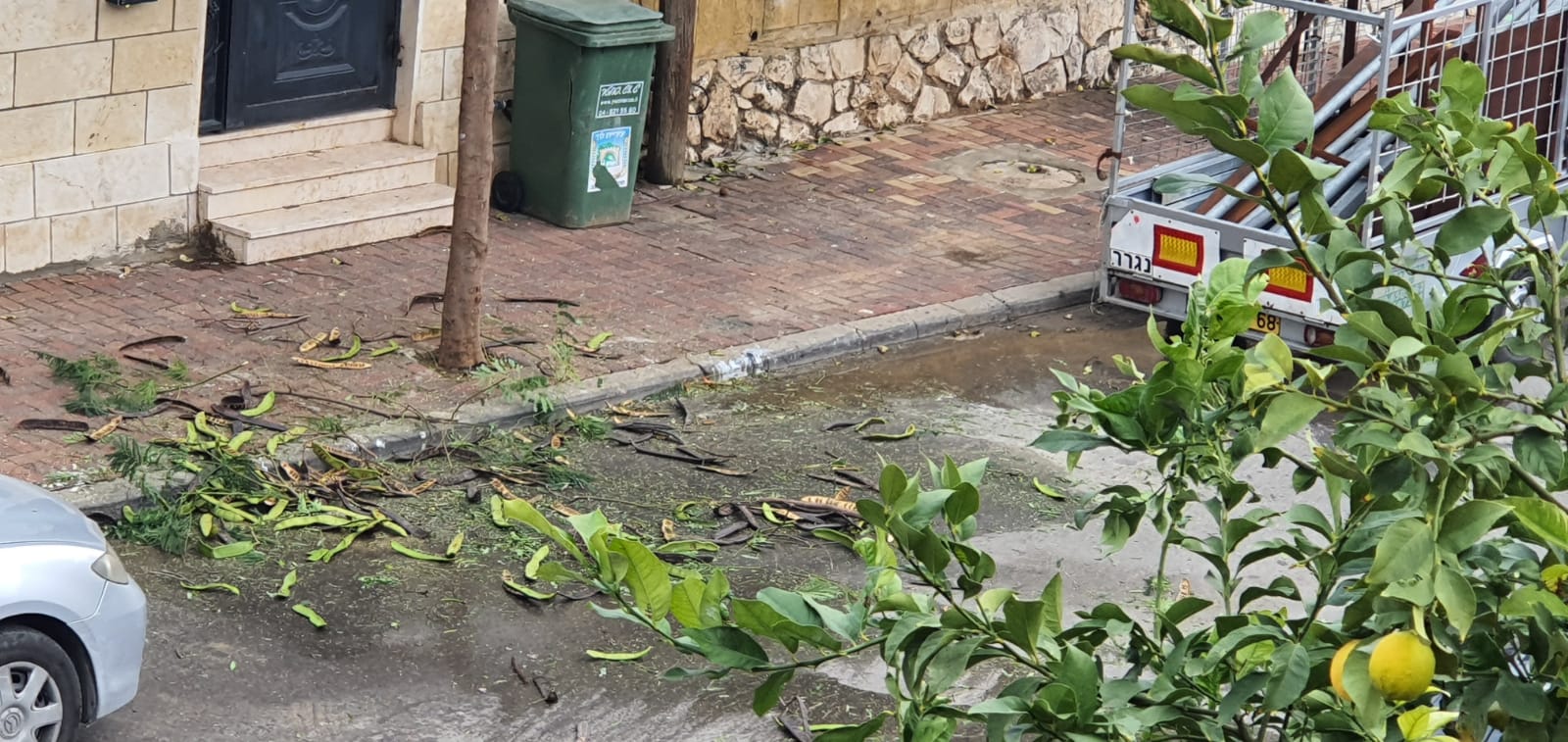 WhatsApp Image 2020-01-29 at 1.18.35 PM.jpeg.jpeg